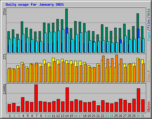 Daily usage for January 2021