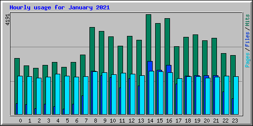 Hourly usage for January 2021